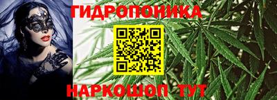 стафф Сланцы