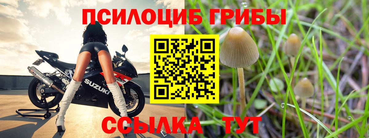 Галлюциногенные грибы Cubensis  Вход с VPN  Мариинск 