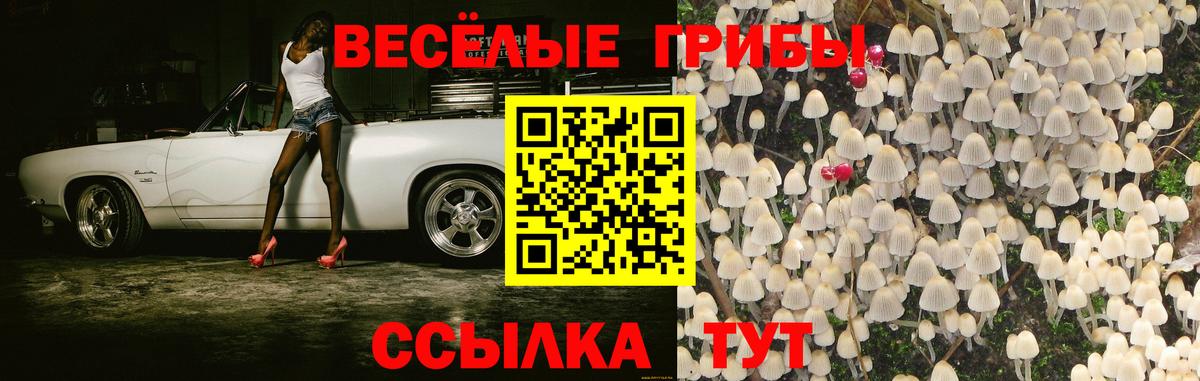 Галлюциногенные грибы ЛСД Мариинск